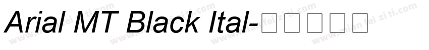 Arial MT Black Ital字体转换